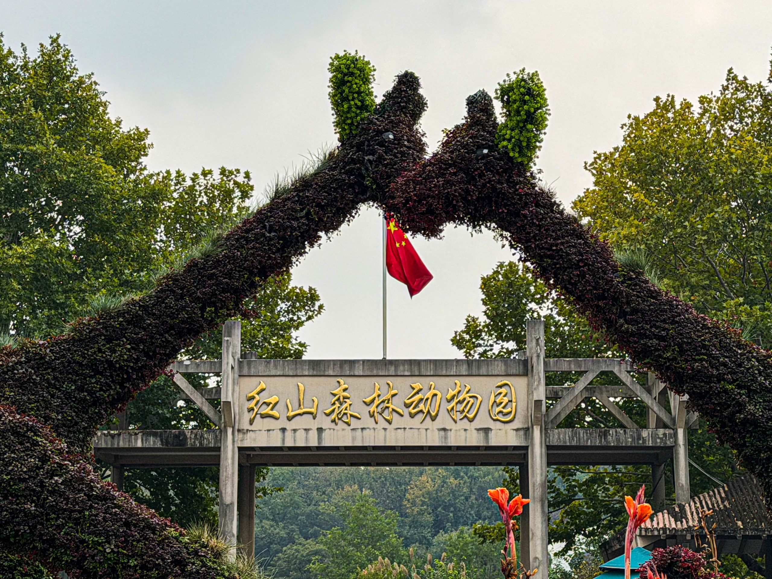 南京相册第 15 张照片