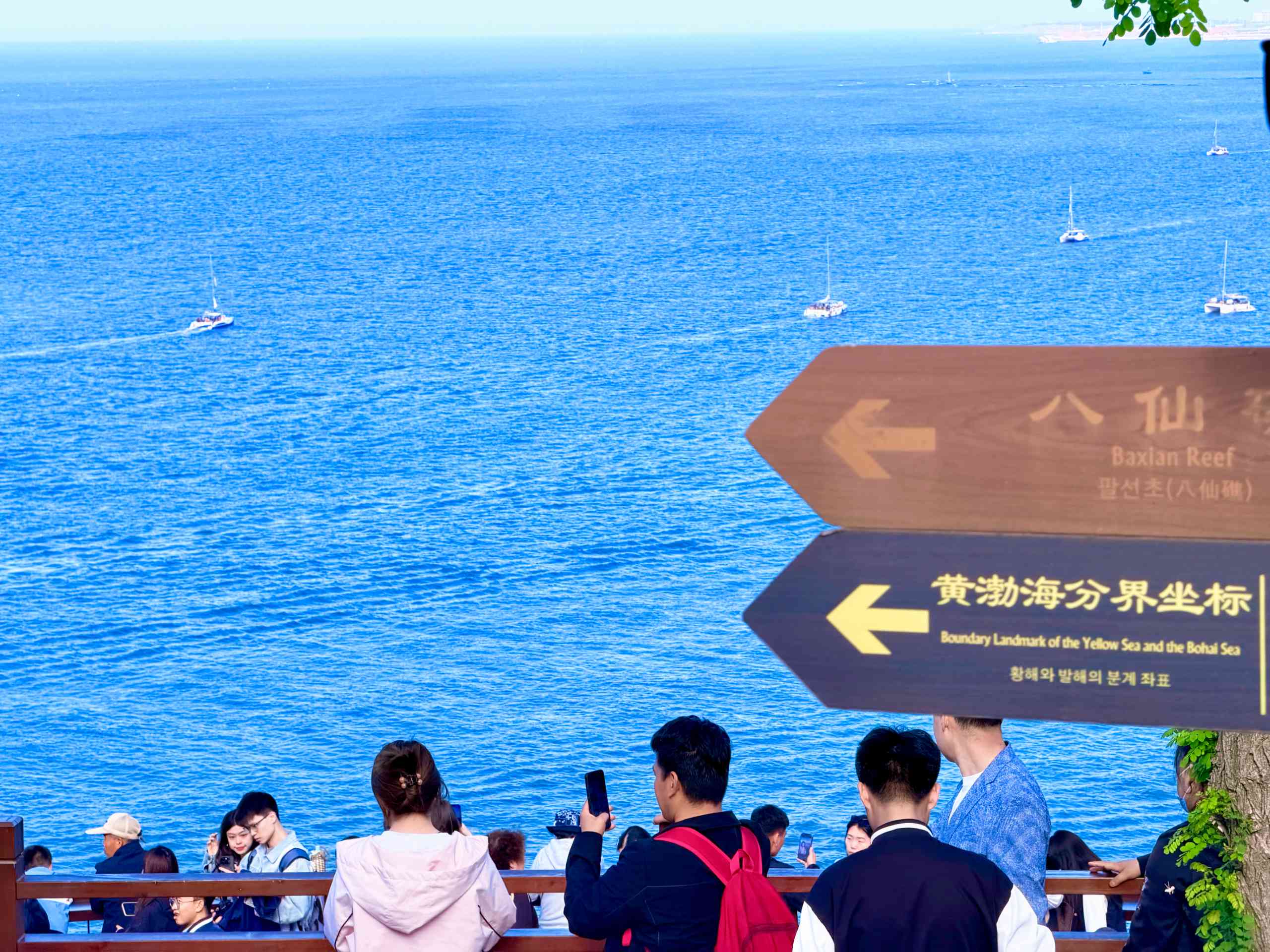 烟台相册第 14 张照片