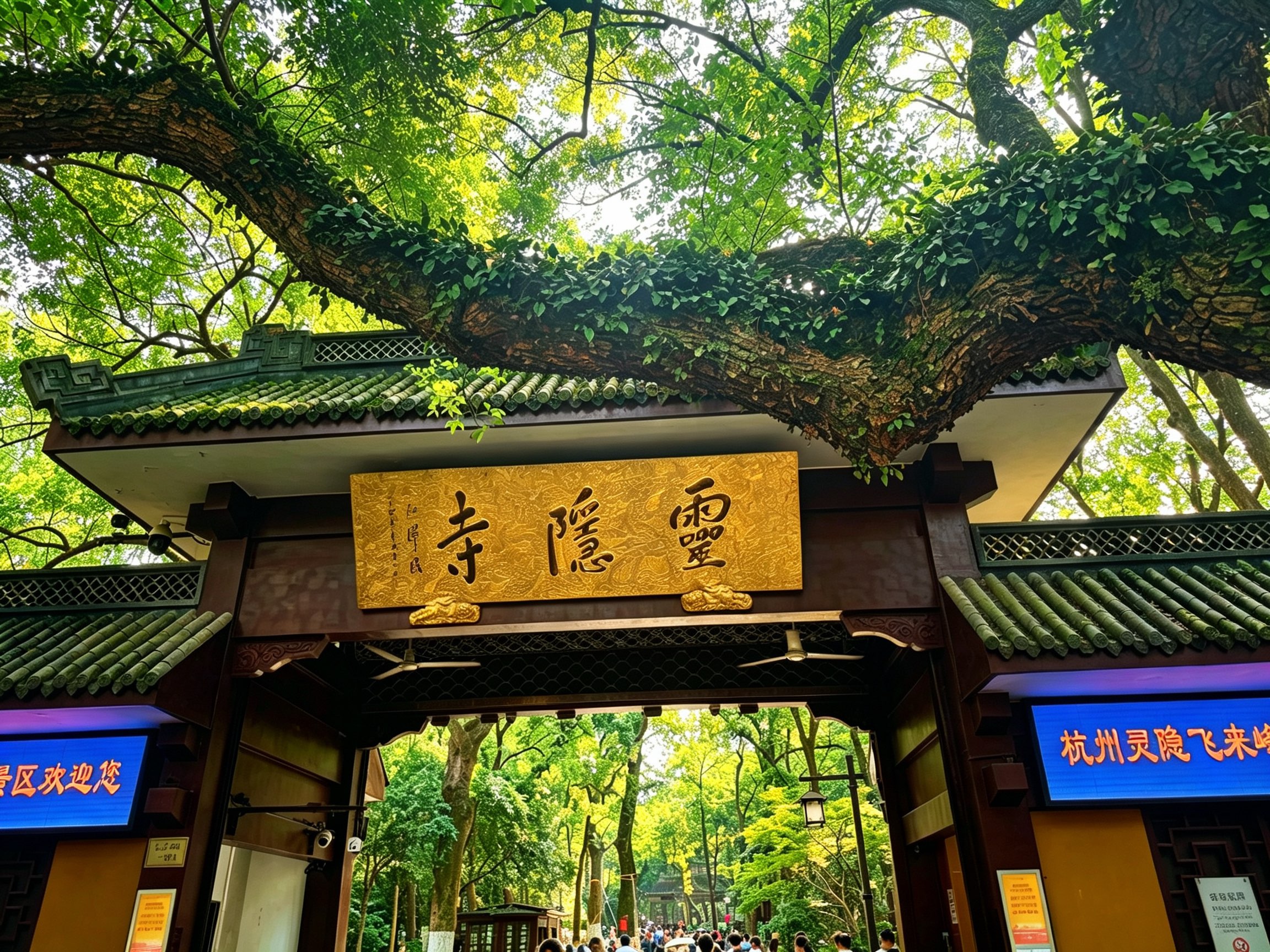 杭州相册第 7 张照片